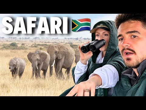 We Went On A LUXURY SAFARI In South Africa
