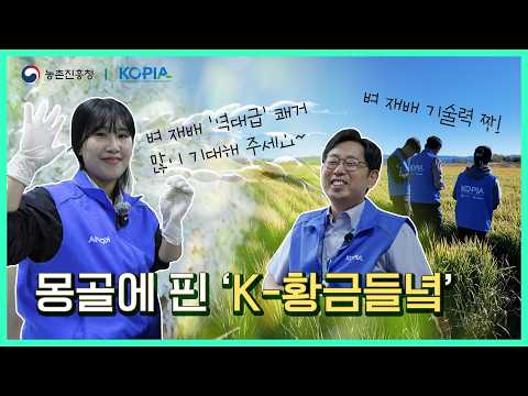 벼가 몽골에서 재배된다고!!? 우리가 몰랐던 KOPIA 몽골 센터의 숨겨진 스토리 대공개.😁 #쌀 #K농업 #몽골벼재배 #KOPIA