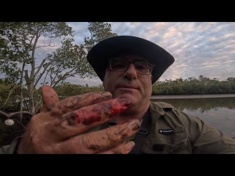 Mud Crab Rips My Finger - 14 Days Mud Crabbing with Son