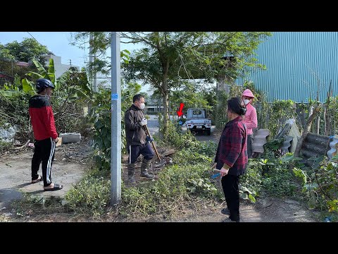 The neighbor suddenly criticized us when we cleaned next to her vegetable garden