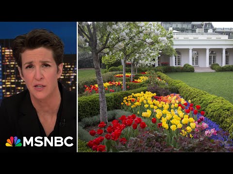 Trump bulldozes top donor's family legacy in vulgar White House demolition