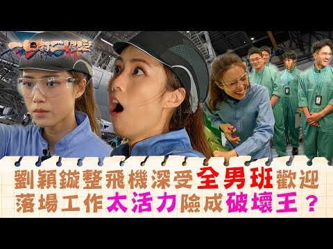 一日打工限定|劉穎鏇整飛機深受全男班歡迎 落場工作太活力險成破壞王?|娛樂 搞笑 兼職|TVB綜藝