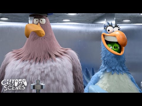 Bathroom Heist Madness π½ | The Angry Birds Movie 2