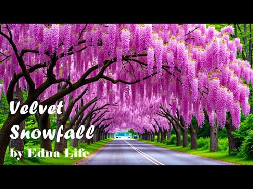 Velvet Snowfall - Edna Life