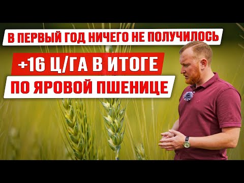 Как получить прибавку урожайности | Листовые подкормки и внесение КАС ликвилайзером | Опыты фермера