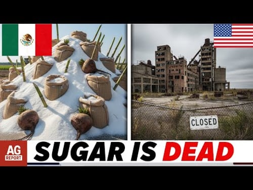 U S Sugar Industry COLLAPSING Mexican Imports Destroying American Farms Under USMCA!
