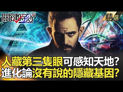 【精選】人人身藏「第三隻眼」?3歲前竟能感知天地?進化論沒有說的隱藏基因?【關鍵時刻】-劉寶傑 劉燦榮 馬西屏 王瑞德 黃創夏