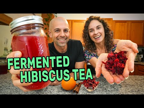 Fermented Hibiscus Tea with a Ginger Bug 🌸 3 Easy Recipes | The Fermentation Adventure