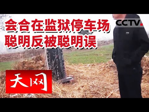 《天网》窃贼团伙设计复杂的逃跑路线和特殊的汇合地点 跨省逃窜后居然把赃物藏在坟地里面 20230510 | CCTV社会与法