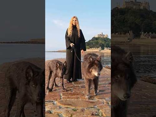 FANTASY DIRE WOLVES from HOUSE OF THE DRAGON #gameofthrones