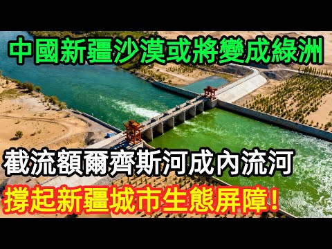 中國新疆沙漠或將變成綠洲? 截流額爾齊斯河成內流河,撐起新疆城市生態屏障!#工程#治理#中國