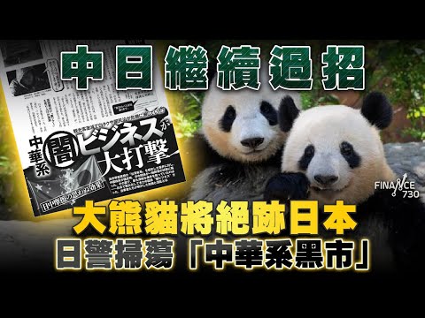 中日繼續過招!大熊貓下月返華 逾半世紀首次絕跡日本!「中華系黑市」經濟遭重創 在日中國人生意大跌 分析:中國人抵制中國人!