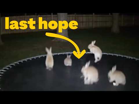 THIS Could Finally End Misinformation (seriously)