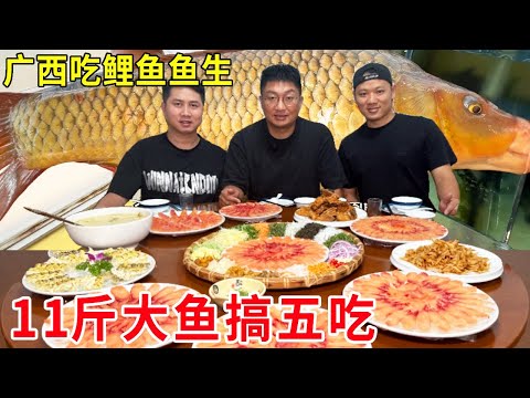 广西南宁吃鲤鱼鱼生,黄肉鲤鱼包料一斤48元,11斤大鱼搞五吃#麦总去哪吃