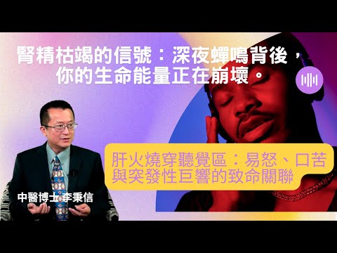 治耳鳴必須先「治腦」:為什麼你的焦慮正在餵養你耳朵裡的怪獸?腎精枯竭的信號:深夜蟬鳴背後,你的生命能量正在崩壞。肝火燒穿聽覺區:易怒、口苦與突發性巨響的致命關聯。聽宮與翳風穴如何成為放鬆大腦的關鍵開關