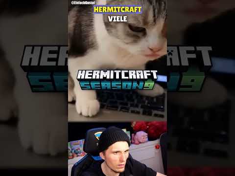 RIP Minecraft-Katze
