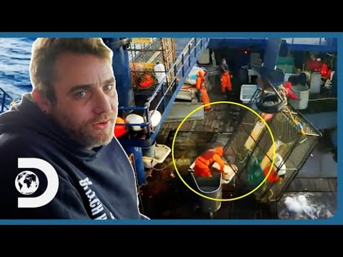 Deckhand Takes A HUGE Hit To The Head By A Swinging Crab Cage! | Deadliest Catch