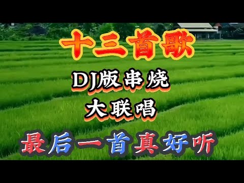 十三首歌曲DJ版串烧大联唱,最后一首真好听,百听不厌