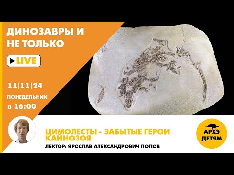 Занятие "Цимолесты — забытые герои кайнозоя" кружка "Динозавры и не только" с Ярославом Поповым