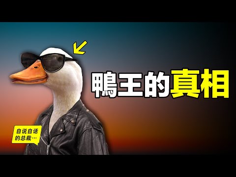 鴨:一鴨戰四虎?彈射胜航母?鴨子的真相,也許超乎你的想象……|自說自話的總裁