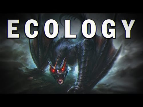 The Nargacuga | Monster Hunter Ecology