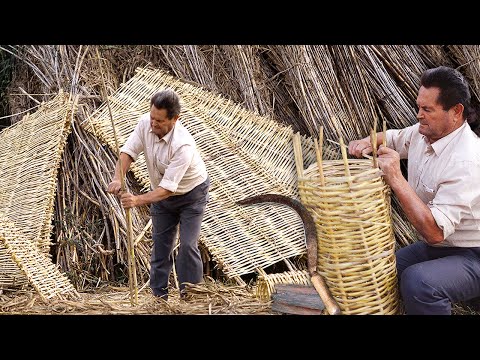 The cane growers and their skill in braiding beehives and reeds by hand with wild reeds