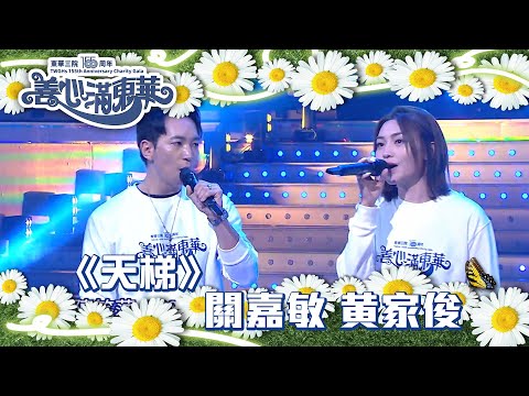 善心滿東華|《天梯》關嘉敏 黄家俊|TVB