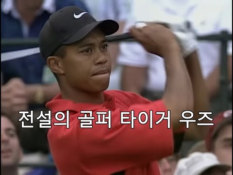 당신이 봐야할 골프의 전설 타이거 우즈 이야기