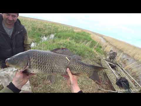 Этот ручеек в болоте, не дает нам скучать.. Рыбалка в Сибири.