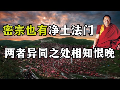 The Similarities and Differences of the Sutra and Secret Pure Land Dharma Doors