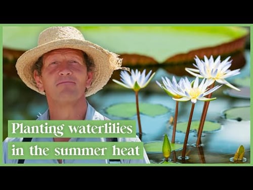 Monty Don Shares His Summer Gardening Secrets!