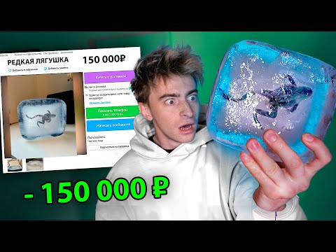 I BUY WEIRD ADS ON AVITO! **Frog on Ice**