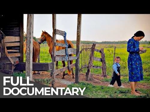 No Power, No Technology, No Modern Life: The Mennonites of Mexico | Free Documentary