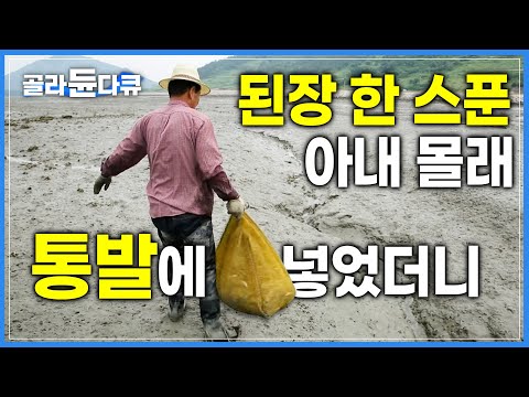 "된장아 고맙다!" 낚시 허탕 치고 눈칫밥만 먹던 남자, 마침내 아내에게 인정받다│박지도 갯고랑에서 망태로 잡은 제철 보리새우│된장 바른 통발로 낚은 돌게│한국기행│#골라듄다큐