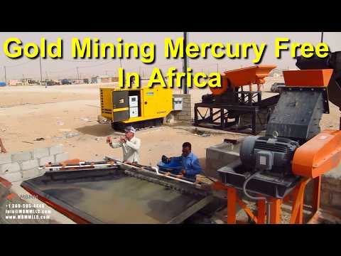 Gold Mining Improvements in Mauritania, Africa | Mercury-Free Gold Recovery with MBMM Equipment