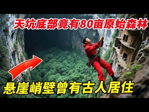 天坑底部竟有80亩原始森林!悬崖峭壁曾有古人居住,数栋石墙诡异无比【户外小北哥】