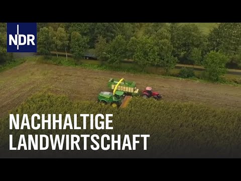 Bauern, Blüten, Bienenvölker | Die Nordreportage | NDR Doku