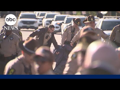 DHS launches 'Operation Charlotte's Web'