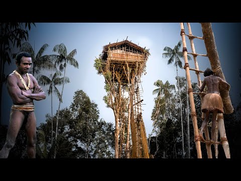The Amazing Korowai Tribe Build a Treehouse - High in the Rainforests of Papua
