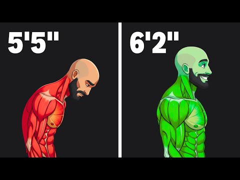 5 Exercises That Make You Look Taller