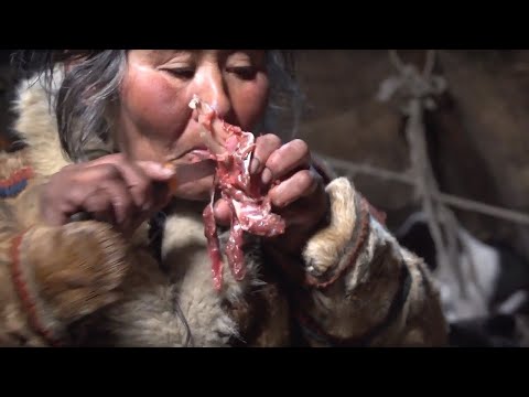 The Nenets. Between Summer and Winter | Polar Stories