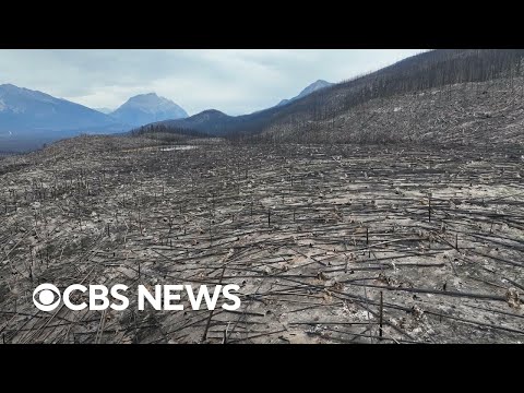 How summer wildfires tore through Canada's Jasper National Park