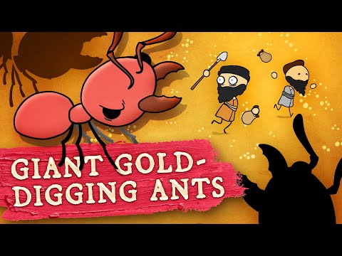 India's Myrmex Indikoi: Myth or History or BOTH? - Extra Mythology