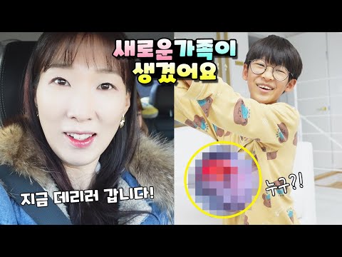 지금 저희는 새가족을 만나러 가고 있습니다! 가족 일상 브이로그 vlogㅣ토깽이네
