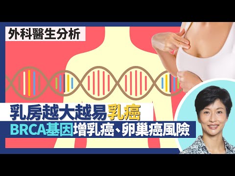 乳癌|乳房越大越易乳癌!女性癌症首位 香港每日超過10人患乳癌!乳癌遺傳基因BRCA基因不只乳癌風險高 卵巢癌、前列腺癌發病率亦大增|王建芳醫生 外科醫生姚志鵬醫生|人類健康研究所