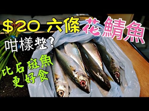 〈職人吹水〉$20 六條 香煎鹽漬鯖魚 平價海魚 點解好食過龍躉 鹹鮮 香煎 適用於紅衫魚/馬友/牙帶/青筋/ 送白粥一流