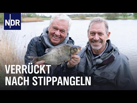 Stippangeln lernen mit den Profis | Rute raus, der Spaß beginnt! Videopodcast | NDR Doku