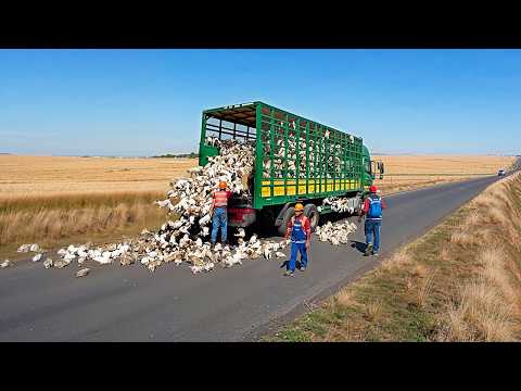 Most Ridiculous Worker Mistakes Caught on Camera #funnyvideos #epicfails #constructionfails