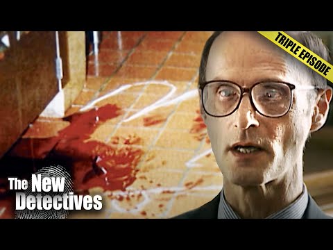 Forensic Investigators Tell Us The TRUTH About Murderers | TRIPLE EPISODE | New Detectives