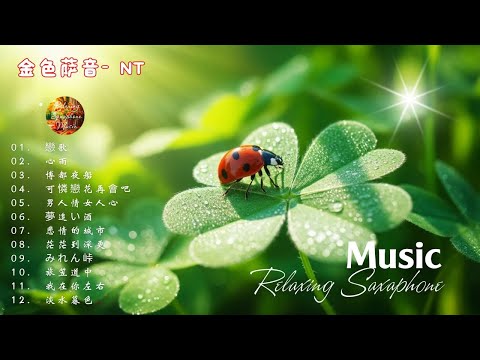 【100% 無廣告 ,放鬆音樂】薩克斯風輕音樂 往事難追憶 薩克斯風演奏 台語老歌 (漂浪之女.癡情台西港.快樂的出帆 .情難斷夢袂醒.想厝的人)